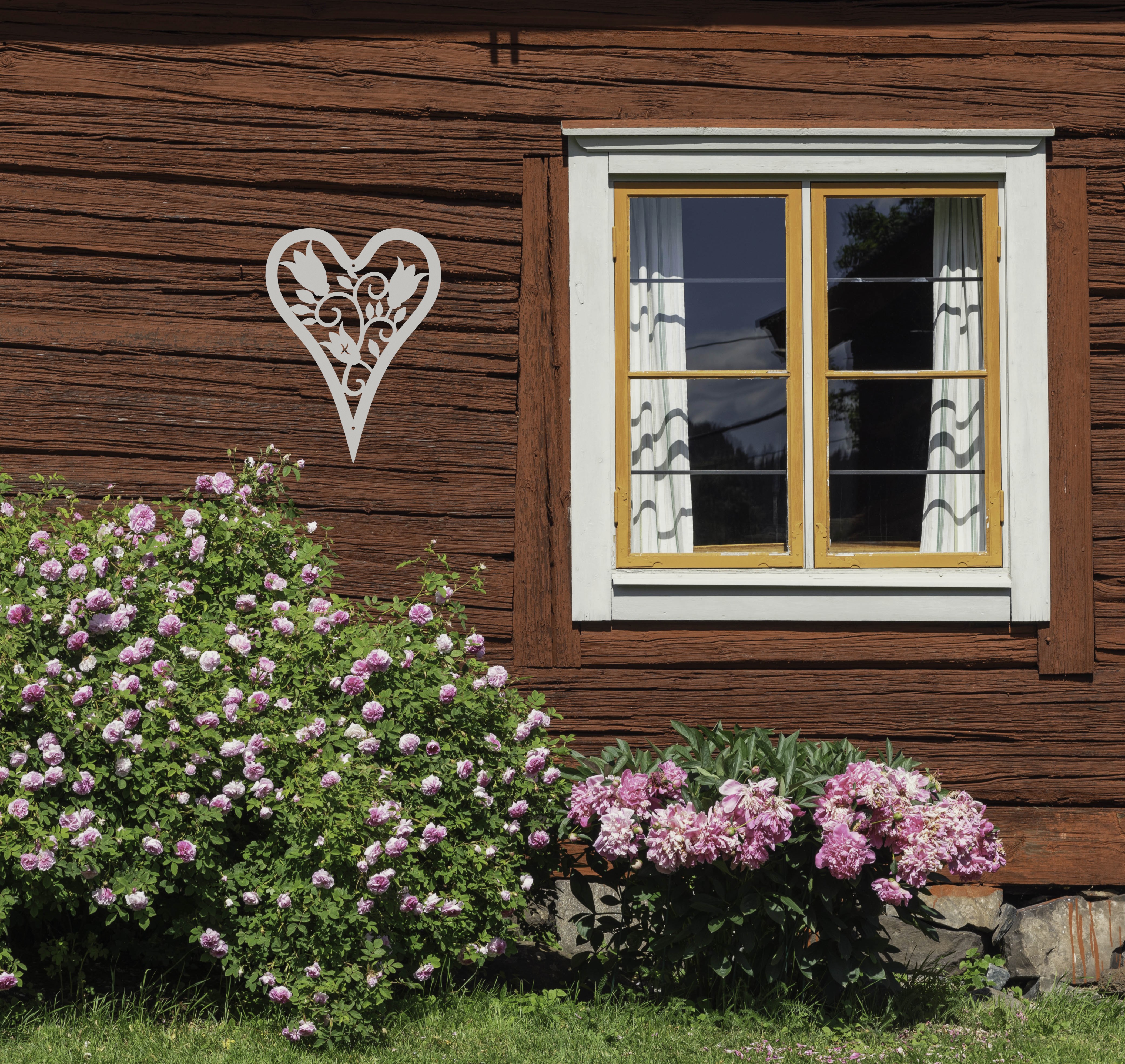 HJÄRTA BLÅKLOCKA