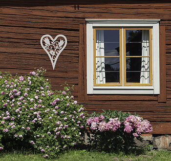 HJÄRTA BLÅKLOCKA