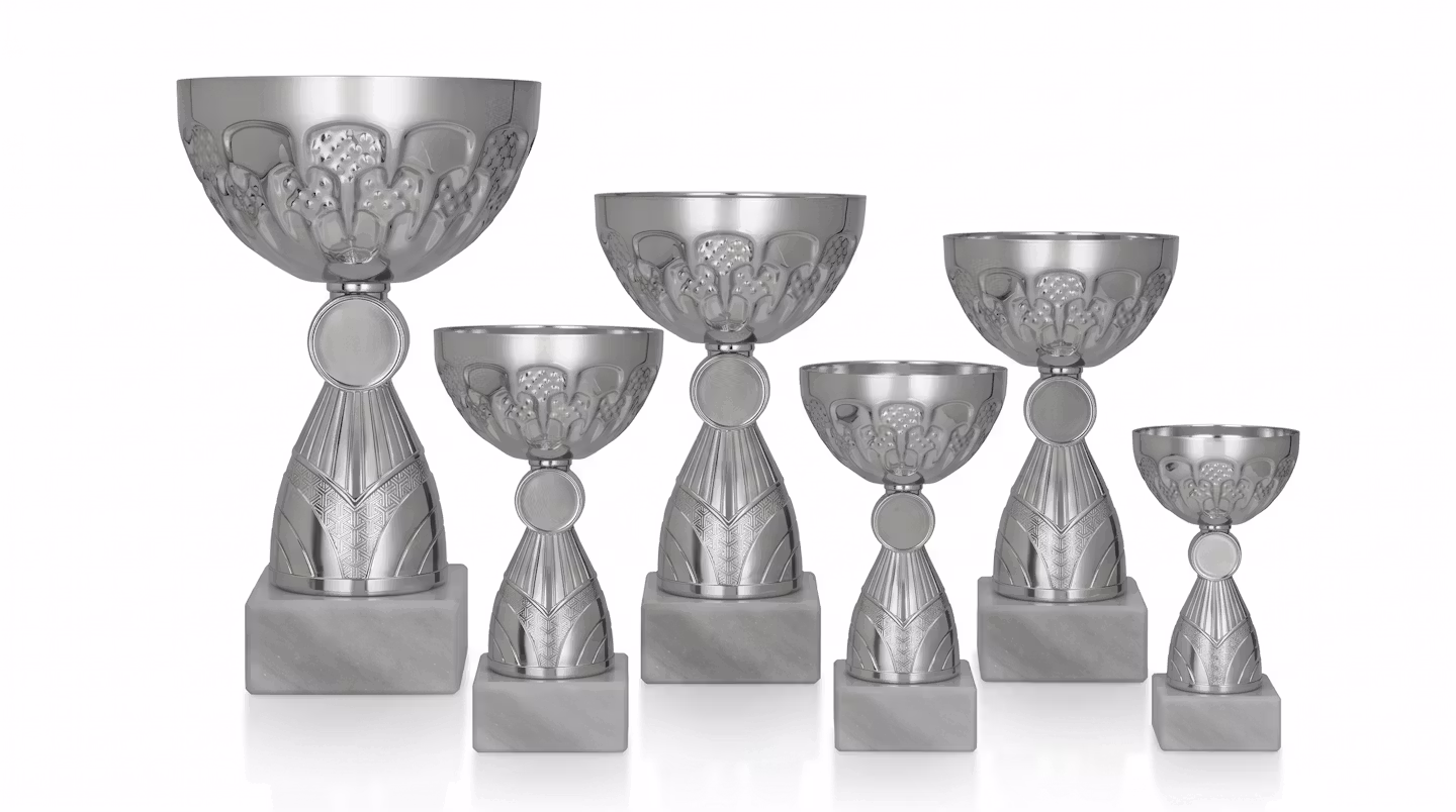 Silverpokal Bronx