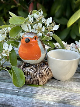 Rödhake med äggkopp