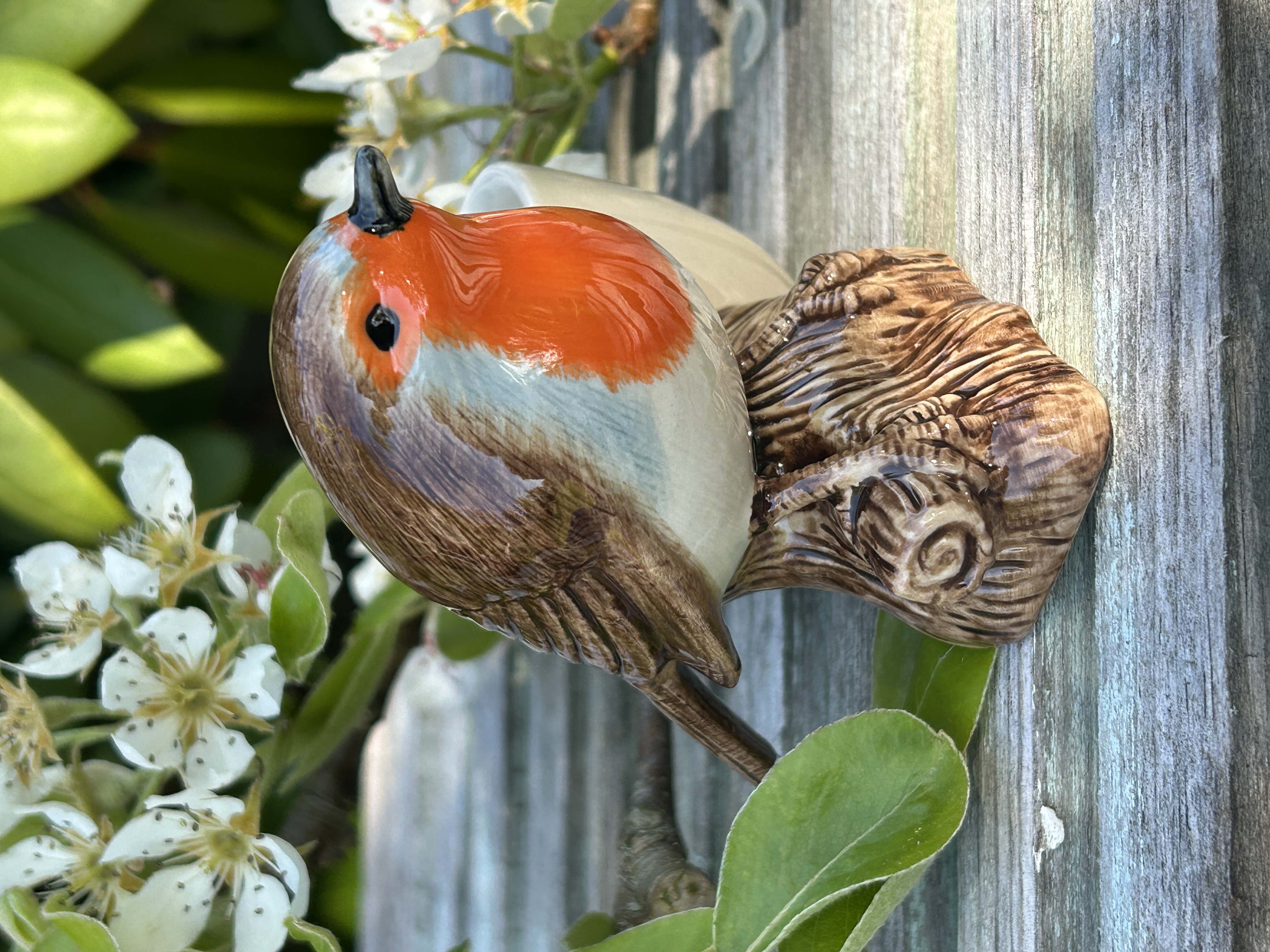 Rödhake med äggkopp - 3