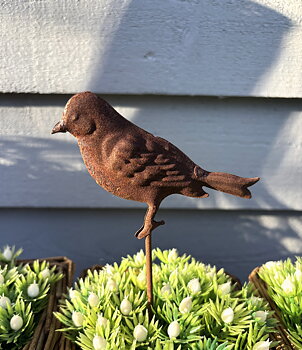 Fågel på pinne