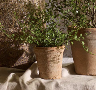 Plättar i luften (Muehlenbeckia) i plastkruka, konstgjord, 25 cm - 3