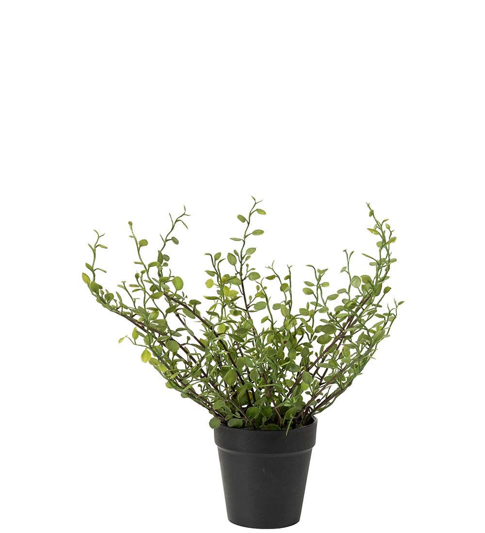 Plättar i luften (Muehlenbeckia) i plastkruka, konstgjord, 25 cm