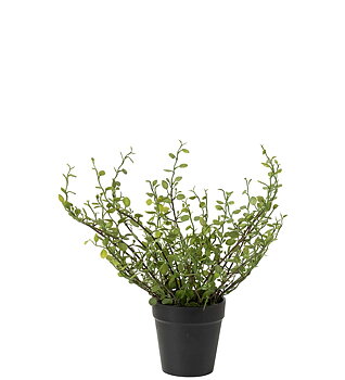 Plättar i luften (Muehlenbeckia) i plastkruka, konstgjord, 25 cm