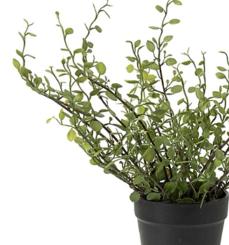 Plättar i luften (Muehlenbeckia) i plastkruka, konstgjord, 25 cm