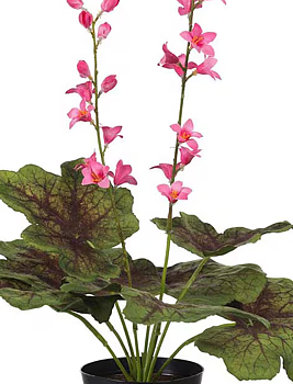 Alunrot rosa, konstgjord 45 cm
