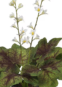 Alunrot vit, konstgjord 45 cm