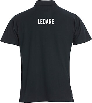 Pike Ledare STIBK