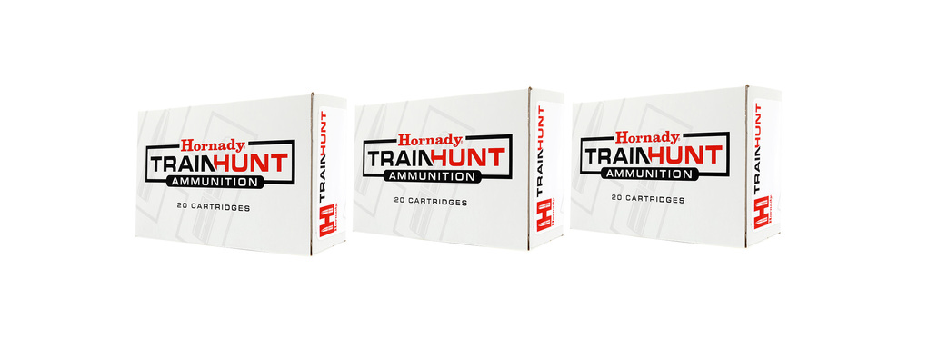 Hornady TrainHunt Ammo 9.3x62 286 gr OTM - 60st