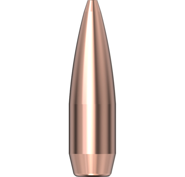 Hornady TrainHunt Ammo 9.3x62 286 gr OTM - 60st 3