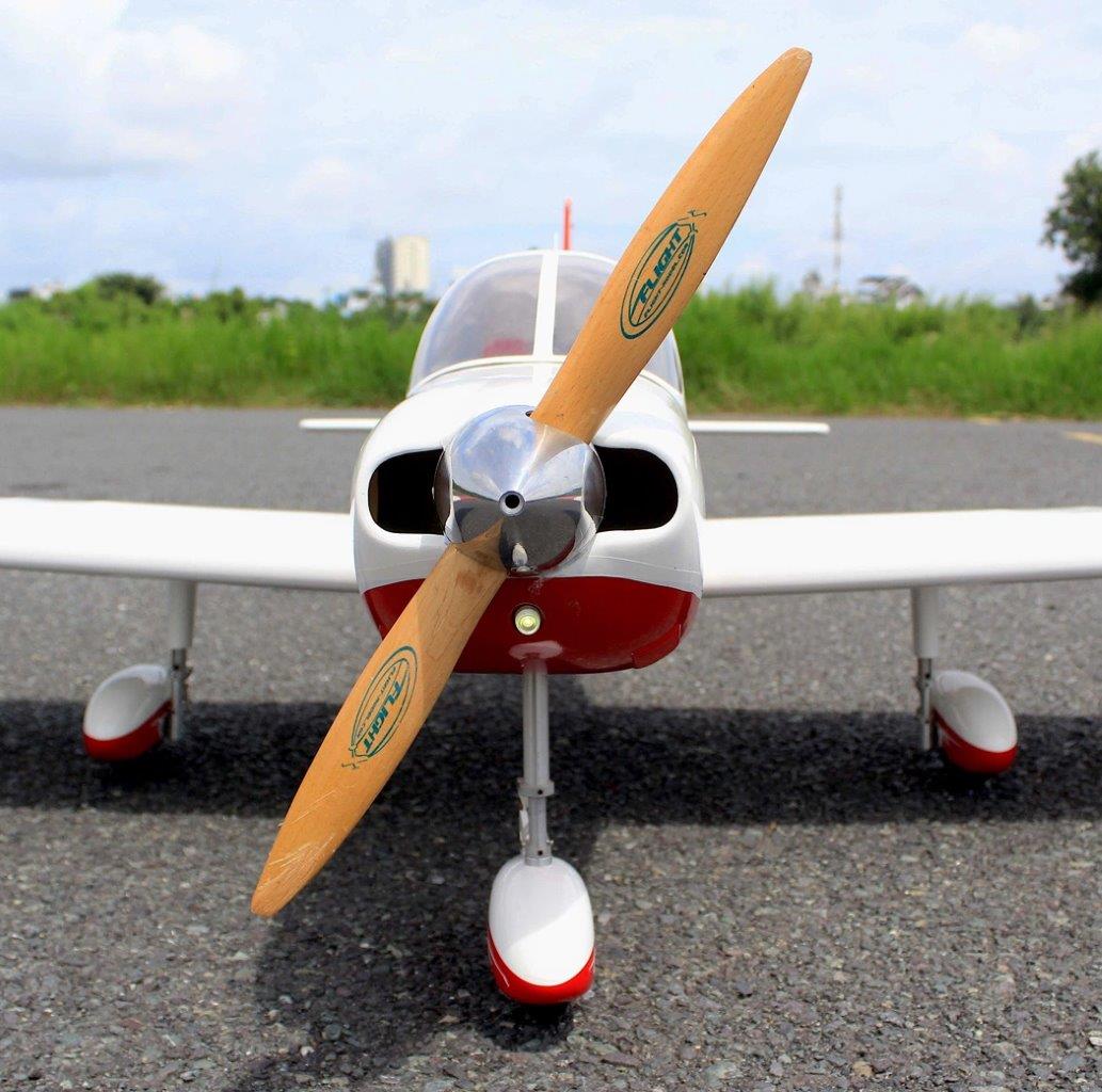 Seagull Piper Cherokee Warrior II 221cm 35cc Gas - 5