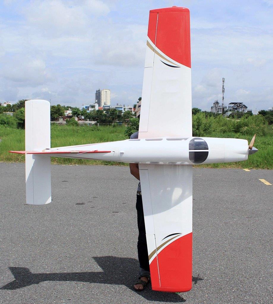 Seagull Piper Cherokee Warrior II 221cm 35cc Gas - 4
