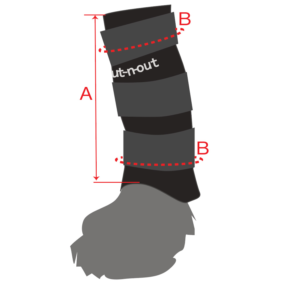 Out-n-out® Carpal Stabilizer | Yulex® carpal support for dogs - 3