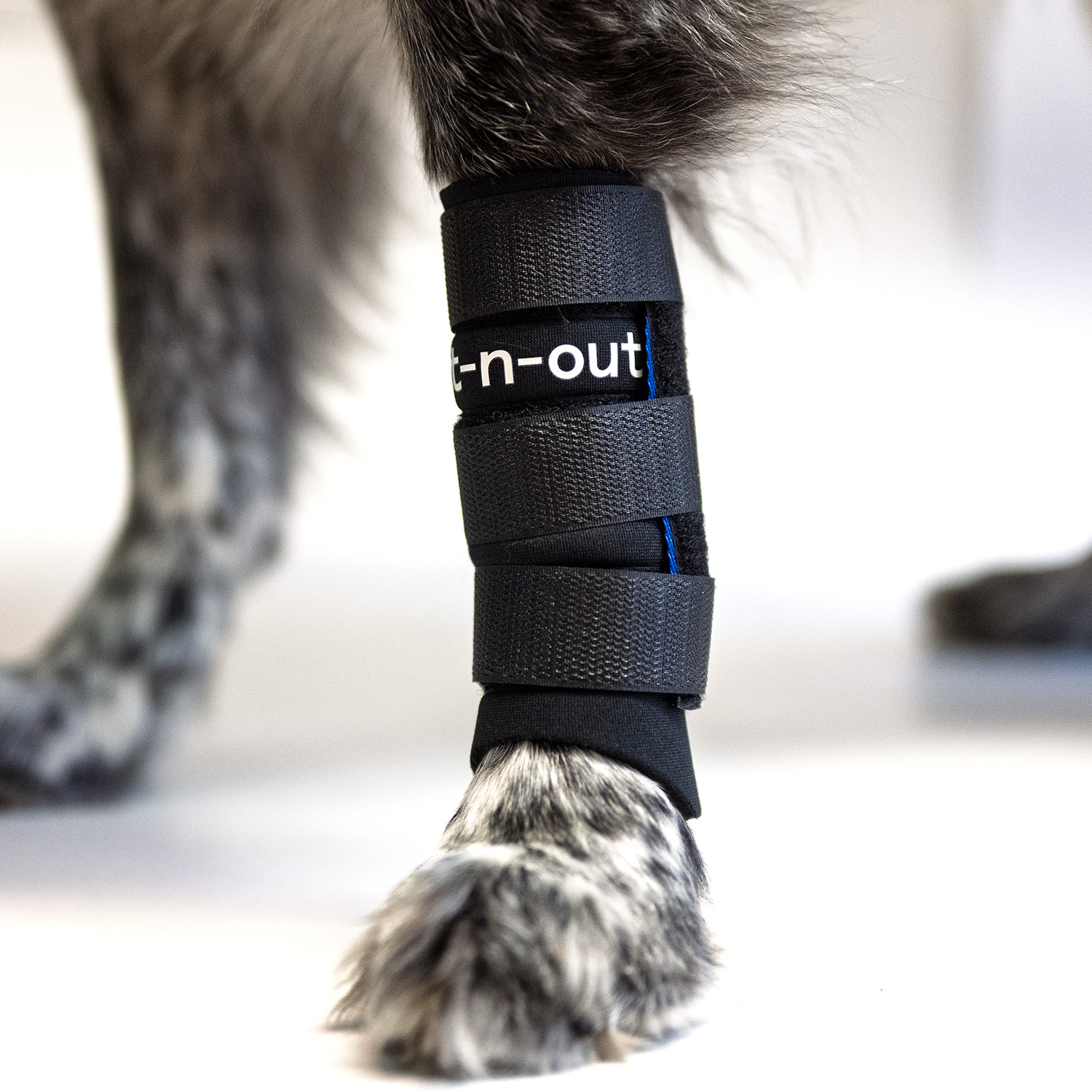 Out-n-out® Carpal Stabilizer | Yulex® handledsstöd för hund