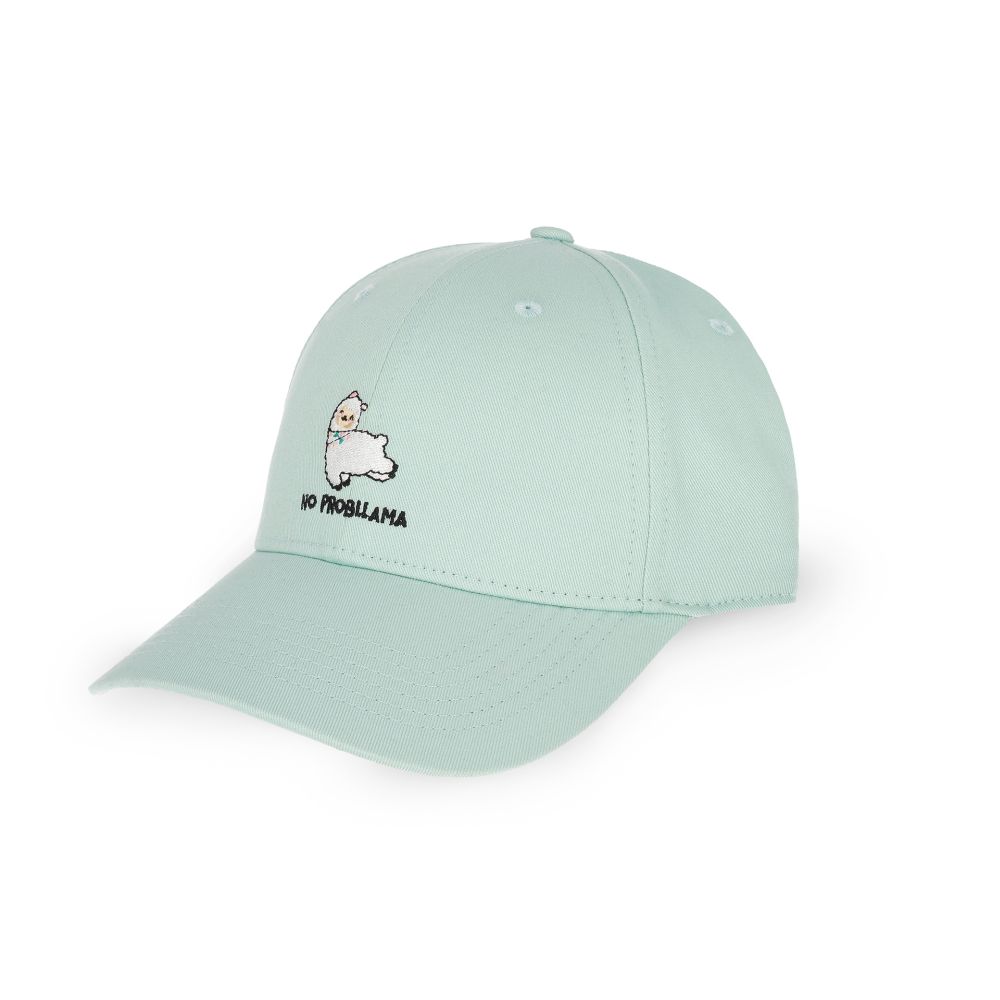 What a Cap!, Keps. Llama, Blue Aqua - 2