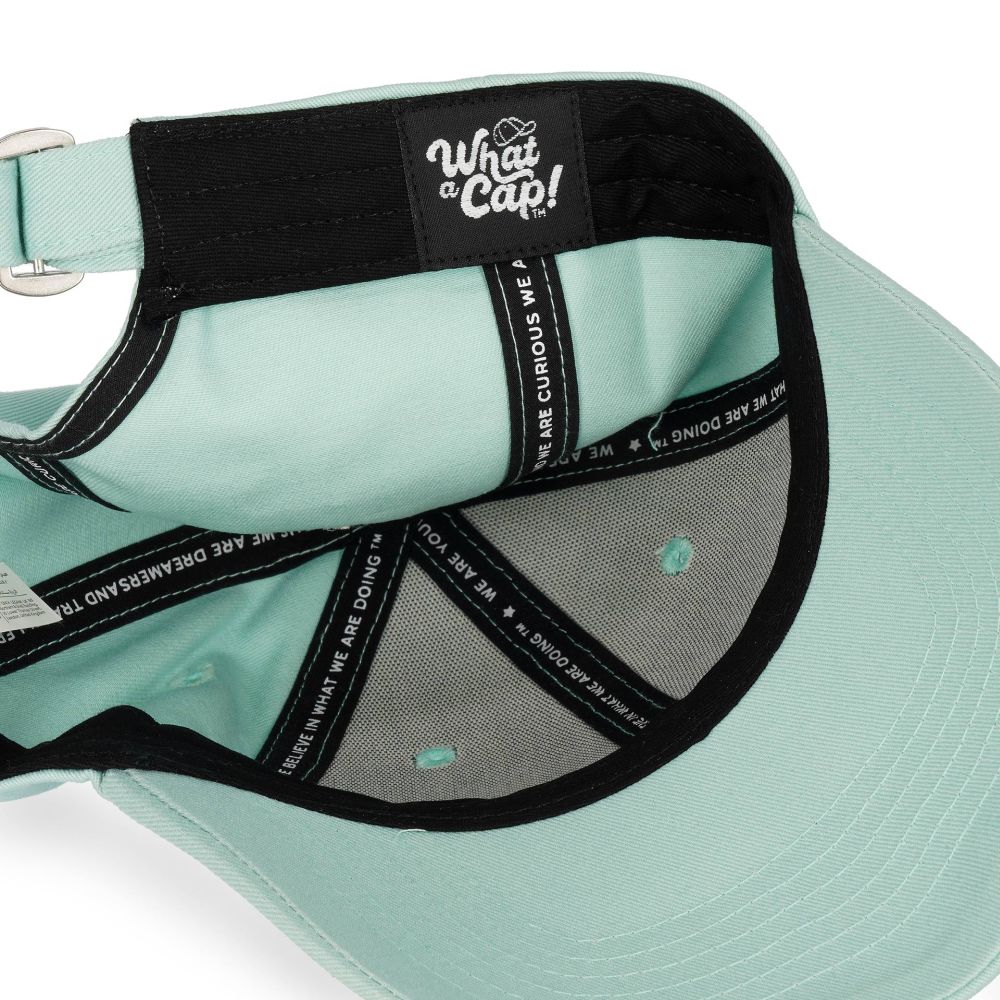 What a Cap!, Keps. Llama, Blue Aqua - 4
