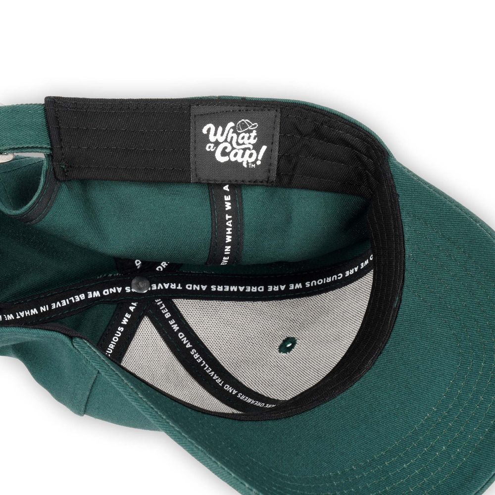 What a Cap! Keps, Dino, green - 4