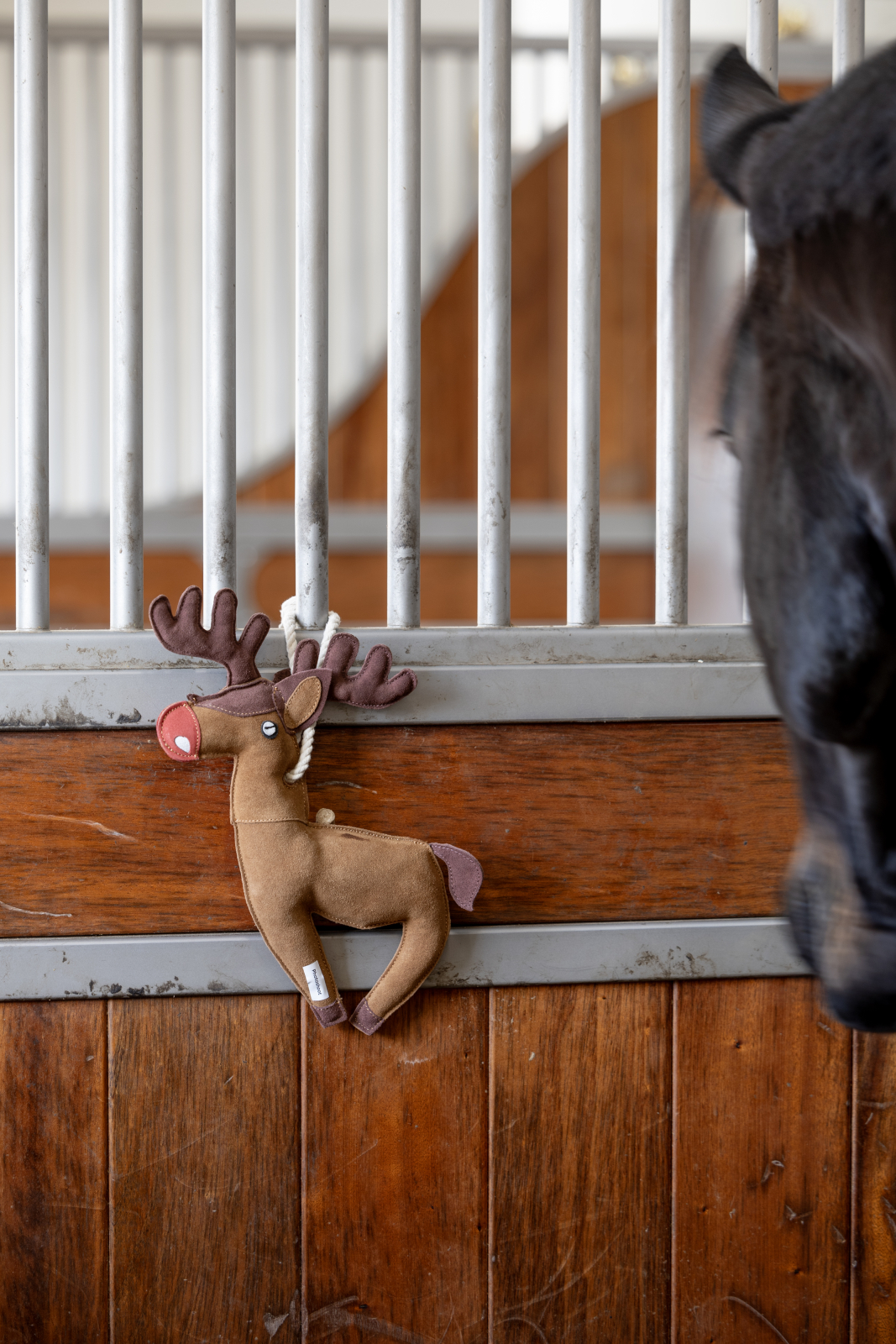 HG reinsdyr leke til hest - 2
