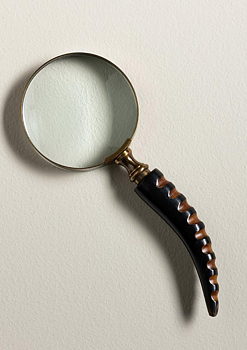 Förstoringsglas HORN