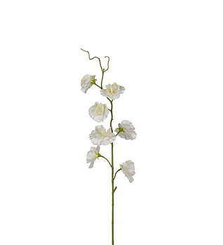 Luktärt vit 55 cm
