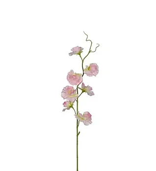 Luktärt rosa 55 cm