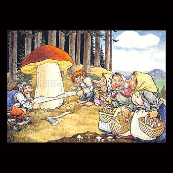 SVAMPPLOCKNING No: 3 - 60003- Trollkort Rolf Lidberg Vykort A6 - 910