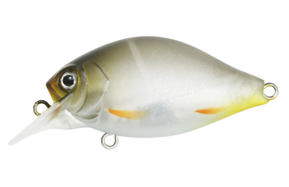 Issei G.C. Shallow Crank 40 SR - 4