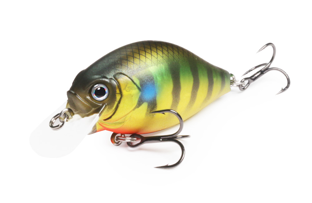 Issei G.C. Shallow Crank 40 SR - 2
