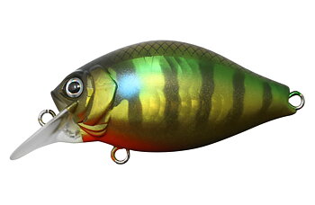 Issei G.C. Shallow Crank 40 SR