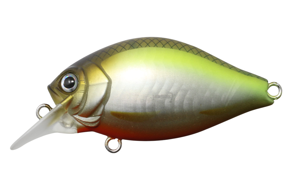 Issei G.C. Shallow Crank 40 SR - 3