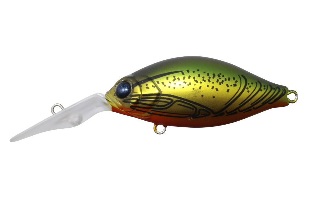 Issei G.C. Crank 42 MR - 4