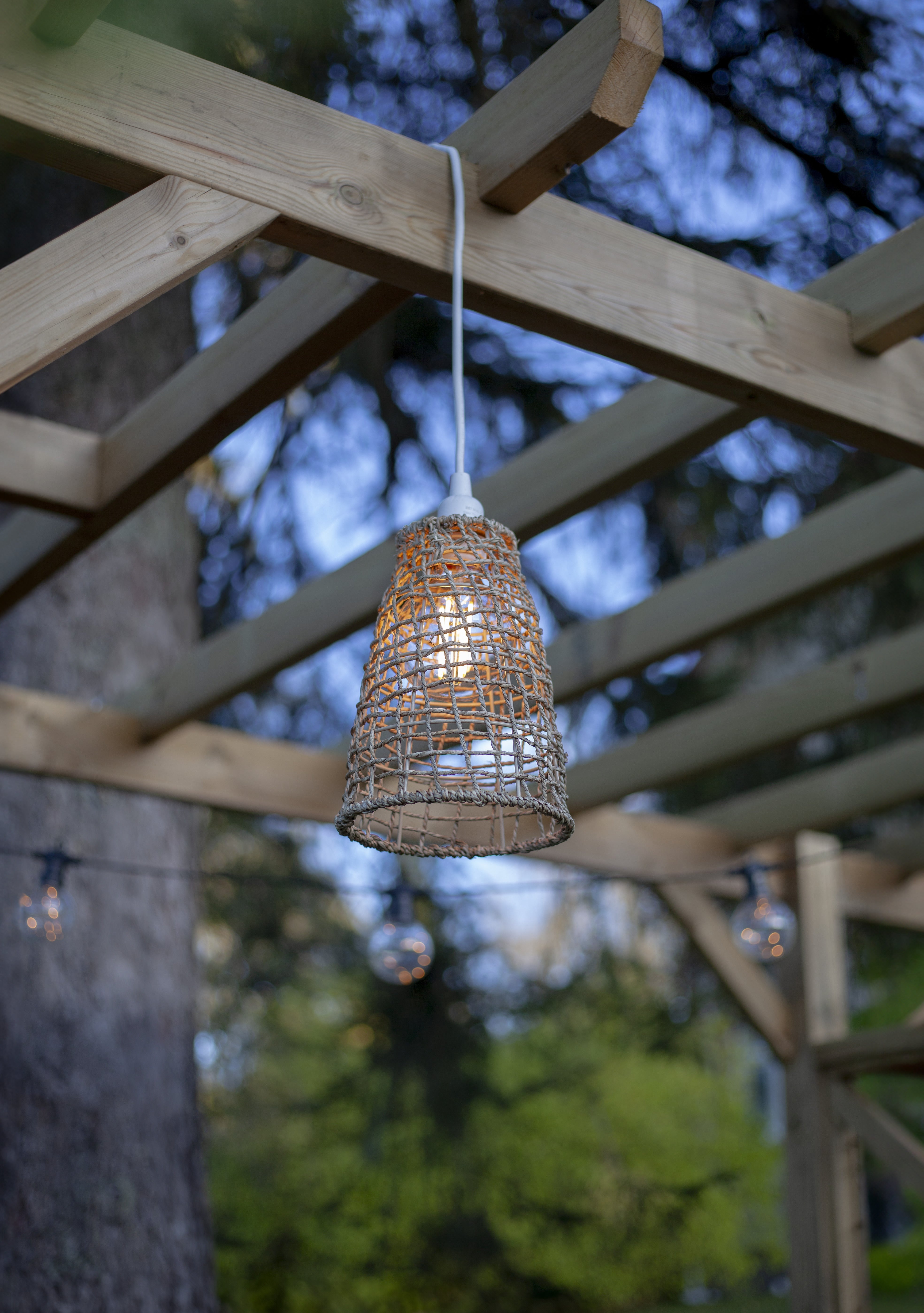 Lampshade + Cord - Dried Seaweed - 23x17 cm - 8