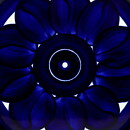 Ulla Procopé (Valencia 1960) Plate with Dark Blue Decor  [Sample Images] 18 cm 