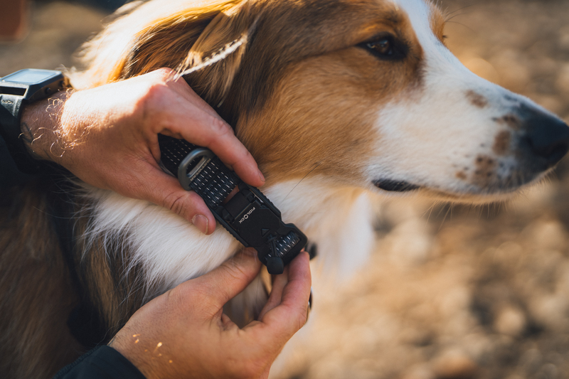 Ruffwear Ridgeland  Collar Obsidian Black - 3