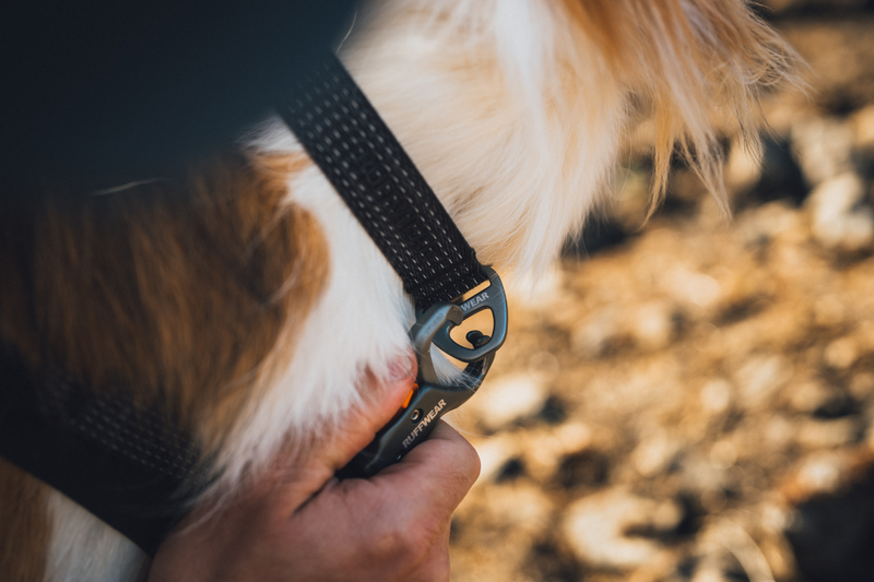 Ruffwear Ridgeland  Collar Obsidian Black - 4
