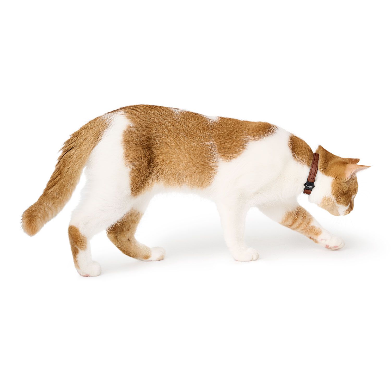 Stylecats by HUNTER katthalsband Luna i skinn - olika färger 2pack - 3