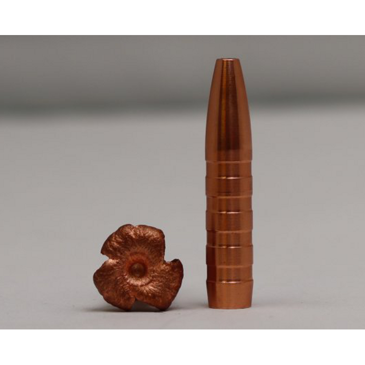 CopperBear 308 Win 166gr/10,7gram - 2