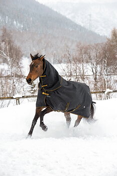 Bucas Irish Turnout 50 g + Neck Outdoor Rug - Black/Gold