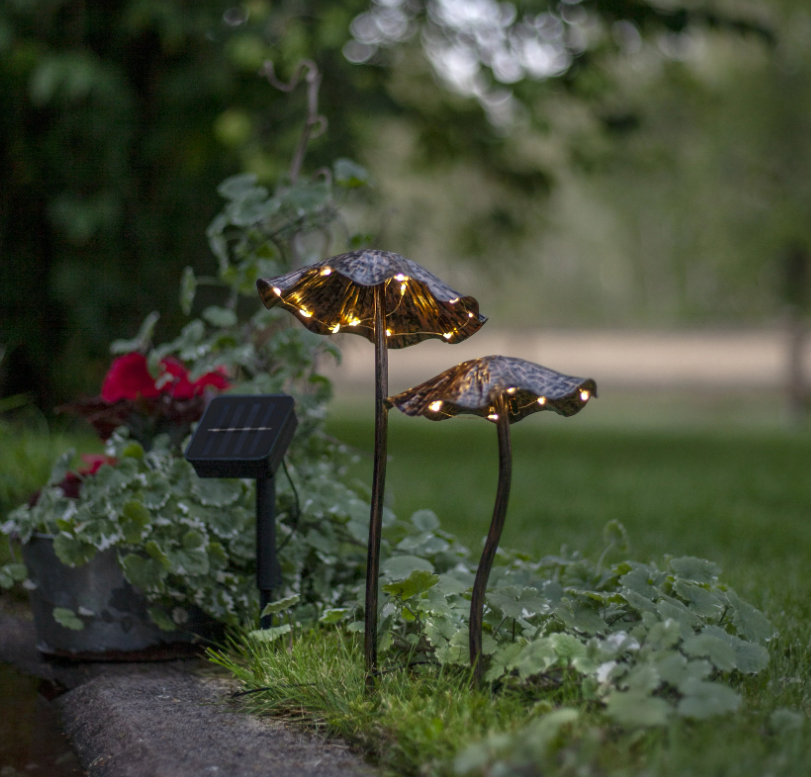 Aurinkokoristeen sienet 2-pack