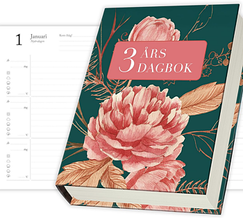 Tre Års Dagbok Paperback 370 Sidor