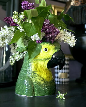 Vas - Green Parrot