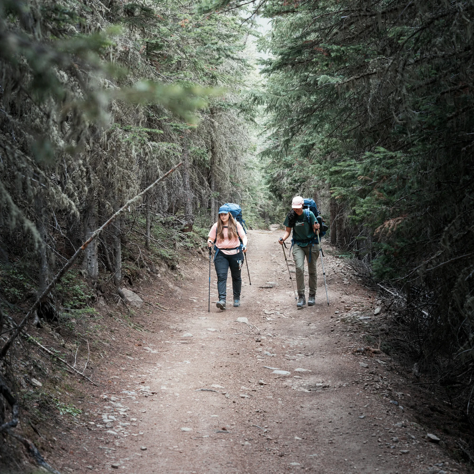 FJÄLLRÄVEN  Abisko Hybrid Trail Trs W - 24