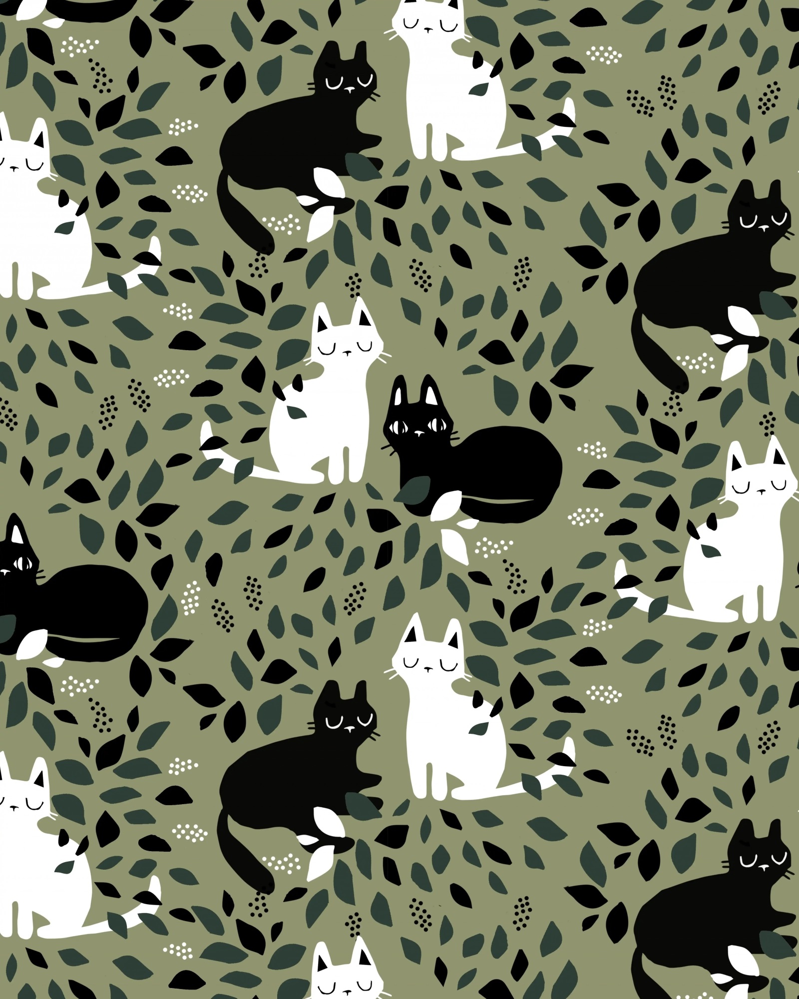 HIDE AND SEEK - FEN
