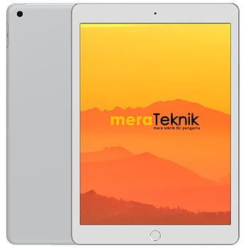 Apple iPad 8 10.2" (2020) Silver