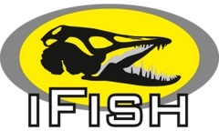 IFISH Gator Head 16g - GR - 2