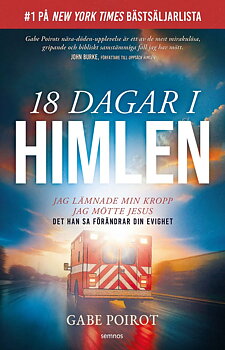 18 dagar i himlen - Gabe Poirot