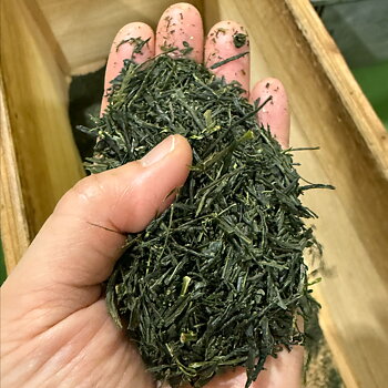 Asamushi-sencha, Umegashima Yoshio-san [skörd 2026, Shizuoka] Nyhet 28 maj 2026