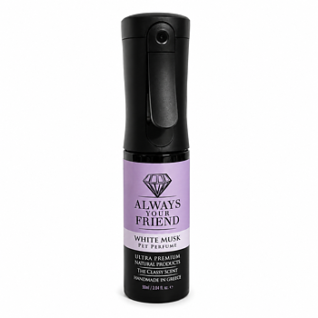 Always Your Friend White Musk Perfume Spray