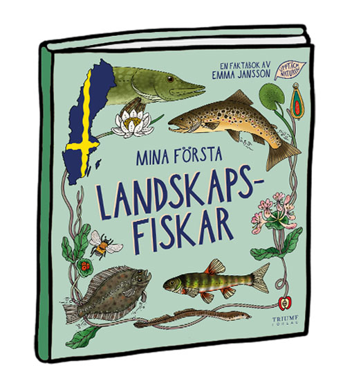 Mina första landskapsfiskar (med fisketips!)